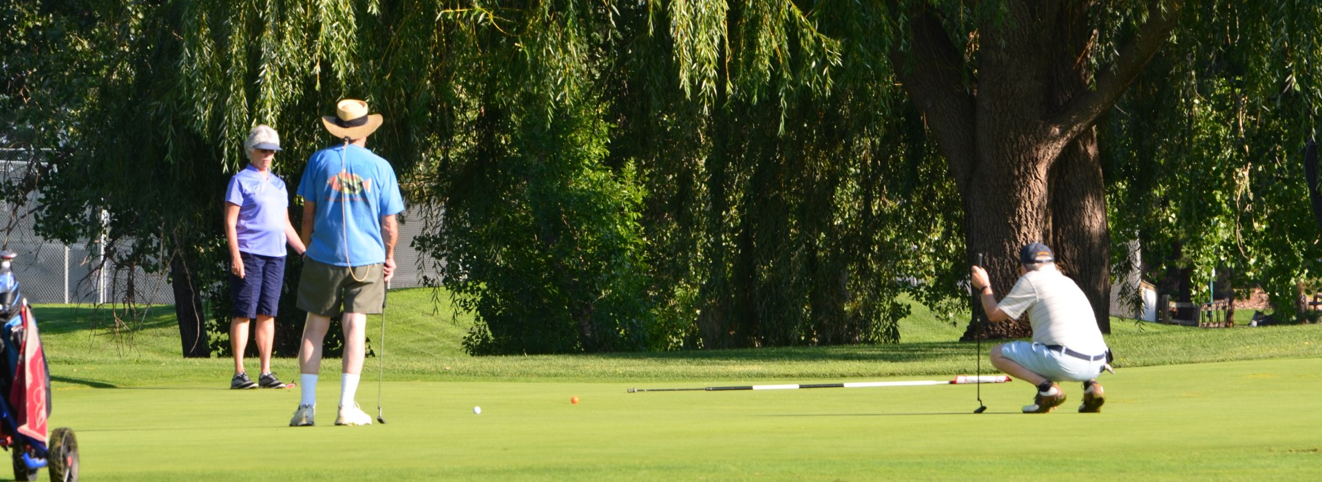Golfers gathered on golf course near trees