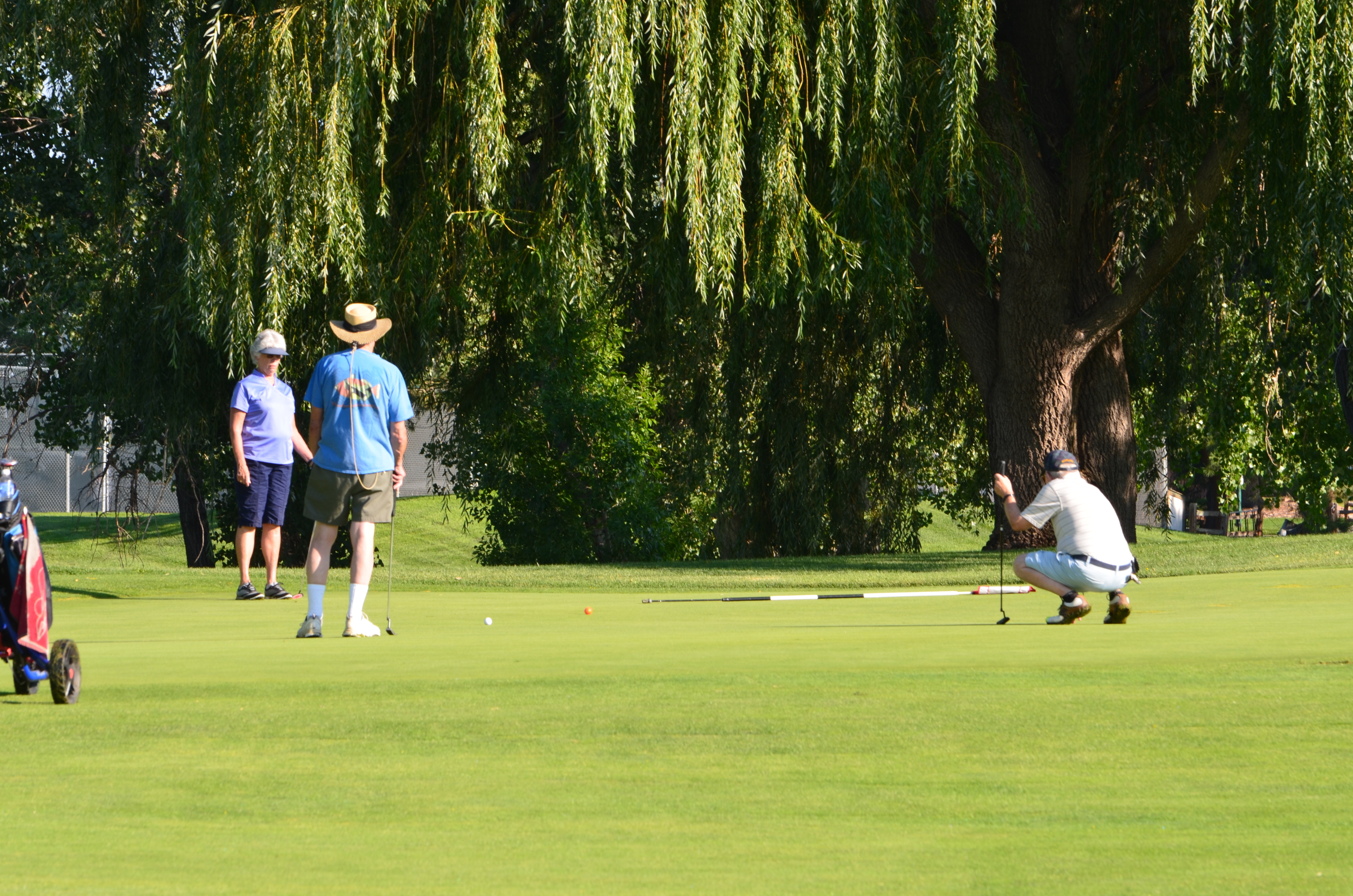 Image of golf ball on tee on grass.
