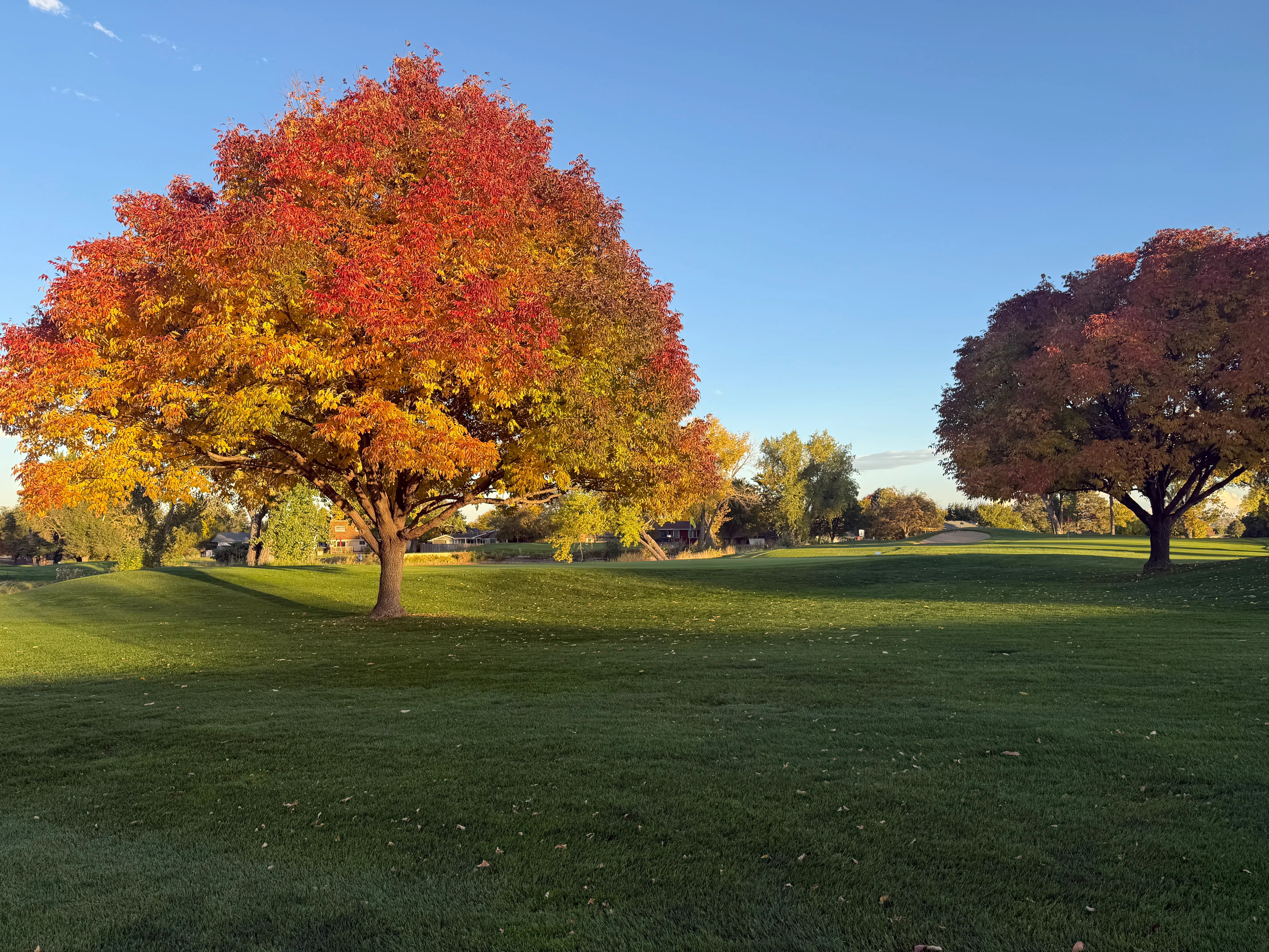 Greenway Park Golf Course